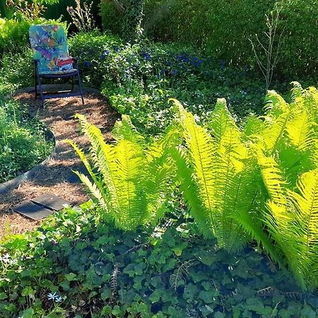 Mitten Im Seenland Und Spreewaldnah, Schoener Garten Storkow  Exterior photo